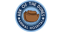 ArkoftheDunes-Bronze
